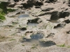 Salt water erosion looks almost like little craters